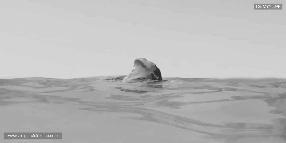 把热爱穿在身上，让每一件周边都成为你的骄傲！👕